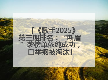 《歌手2025》第三期排名：“断眉”袭榜单依纯成功，白举纲被淘汰