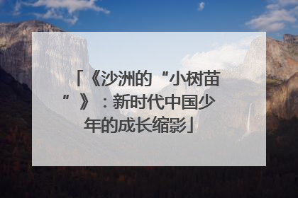 《沙洲的“小树苗”》：新时代中国少年的成长缩影