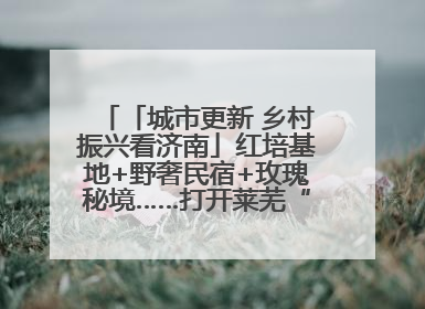 「城市更新 乡村振兴看济南」红培基地+野奢民宿+玫瑰秘境……打开莱芜“齐鲁情映山红片区”的破圈秘籍