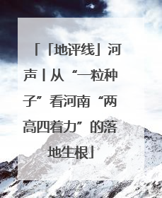 「地评线」河声丨从“一粒种子”看河南“两高四着力”的落地生根