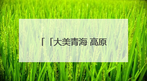 「大美青海 高原足球」赛场上的精彩 展区里的惊喜