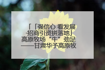 「强信心 看发展·招商引资拼落地」高原牧场“牛”劲足——甘肃华予高原牧场高标准奶牛肉牛养殖项目一线见闻