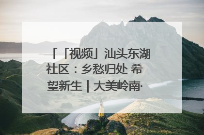 「视频」汕头东湖社区：乡愁归处 希望新生｜大美岭南·百村焕新记