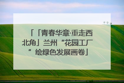 「青春华章·重走西北角」兰州“花园工厂”绘绿色发展画卷