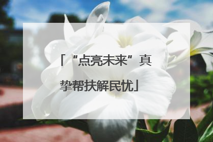 “点亮未来”真挚帮扶解民忧