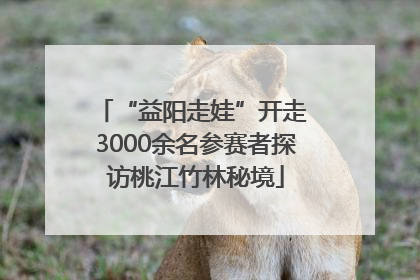 “益阳走娃”开走 3000余名参赛者探访桃江竹林秘境