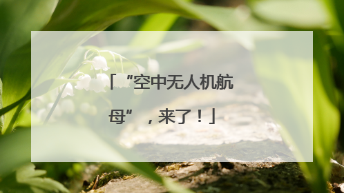 “空中无人机航母”，来了！