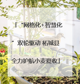 “网格化+智慧化”双轮驱动 柘城县全力护航小麦夏收