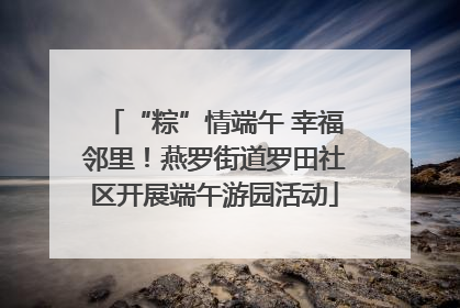“粽”情端午 幸福邻里！燕罗街道罗田社区开展端午游园活动