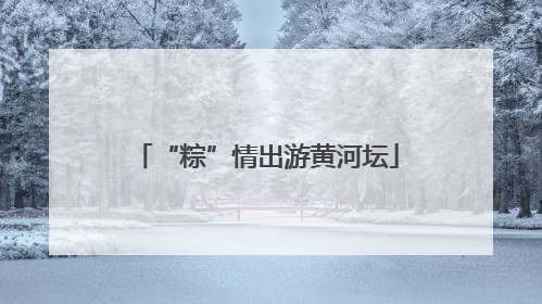 “粽”情出游黄河坛