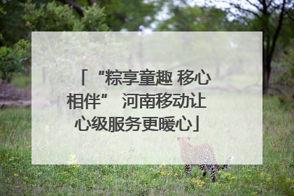 “粽享童趣 移心相伴” 河南移动让心级服务更暖心