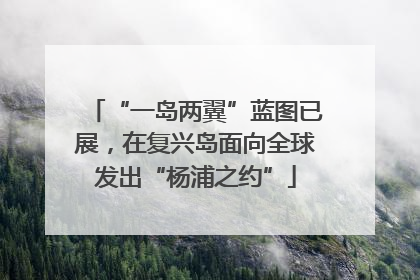 “一岛两翼”蓝图已展，在复兴岛面向全球发出“杨浦之约”