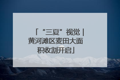 “三夏”视觉｜黄河滩区麦田大面积收割开启