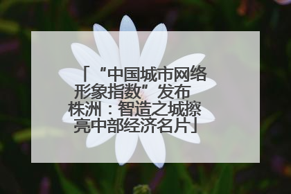 “中国城市网络形象指数”发布 株洲：智造之城擦亮中部经济名片