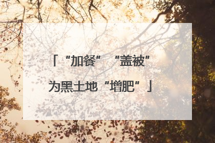 “加餐”“盖被” 为黑土地“增肥”