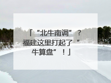 “北牛南调”？福建这里打起了“牛算盘”！