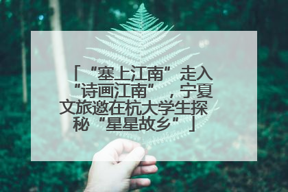 “塞上江南”走入“诗画江南”，宁夏文旅邀在杭大学生探秘“星星故乡”