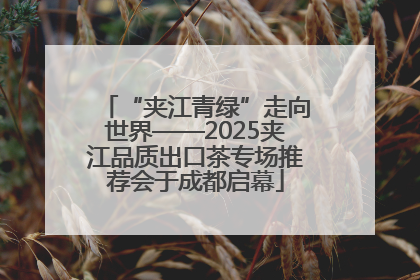 “夹江青绿”走向世界——2025夹江品质出口茶专场推荐会于成都启幕