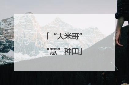 “大米哥”“慧”种田