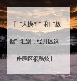 “大模型”和“数据”汇聚，经开区这座园区很酷炫