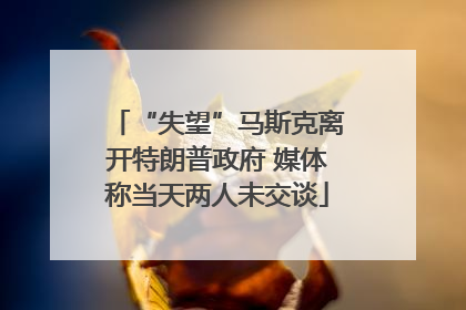 “失望”马斯克离开特朗普政府 媒体称当天两人未交谈