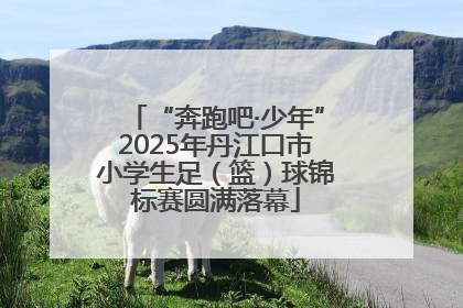 “奔跑吧·少年”2025年丹江口市小学生足（篮）球锦标赛圆满落幕