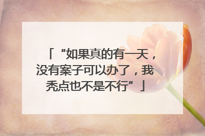 “如果真的有一天，没有案子可以办了，我秃点也不是不行”