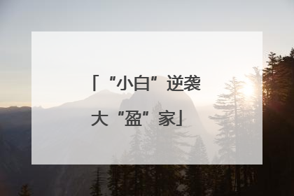 “小白”逆袭大“盈”家
