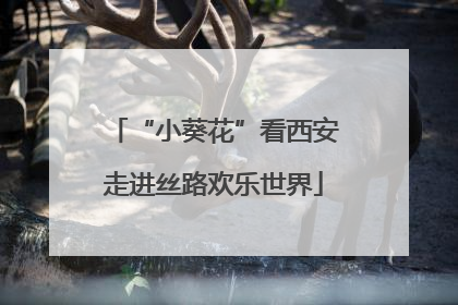 “小葵花”看西安走进丝路欢乐世界