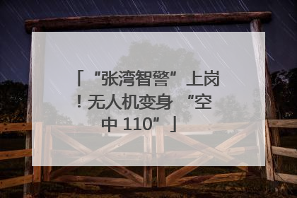 “张湾智警”上岗！无人机变身 “空中 110”