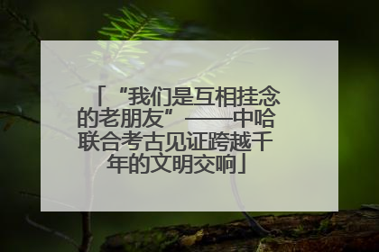 “我们是互相挂念的老朋友”——中哈联合考古见证跨越千年的文明交响