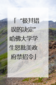 “极其错误的决定”哈佛大学学生怒批美政府禁招令