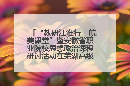 “教研江淮行—皖美课堂”暨安徽省职业院校思想政治课程研讨活动在芜湖高级职业技术学校举行