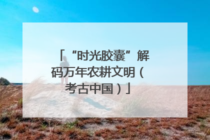 “时光胶囊”解码万年农耕文明（考古中国）
