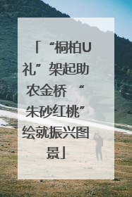 “桐柏U礼”架起助农金桥 “朱砂红桃”绘就振兴图景