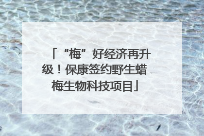 “梅”好经济再升级！保康签约野生蜡梅生物科技项目