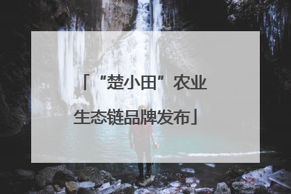 “楚小田”农业生态链品牌发布
