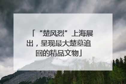 “楚风烈”上海展出，呈现最大楚墓追回的精品文物