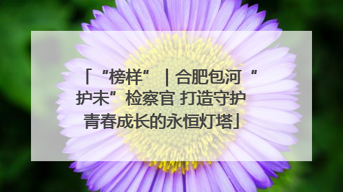 “榜样”｜合肥包河“护未”检察官 打造守护青春成长的永恒灯塔