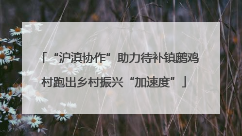 “沪滇协作”助力待补镇鹧鸡村跑出乡村振兴“加速度”