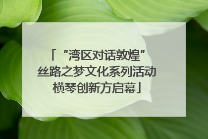 “湾区对话敦煌” 丝路之梦文化系列活动横琴创新方启幕