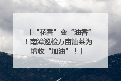 “花香”变“油香”！南漳巡检万亩油菜为增收“加油”！