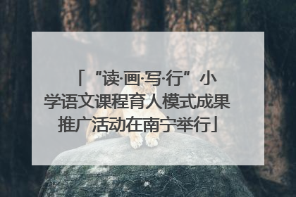 “读·画·写·行”小学语文课程育人模式成果推广活动在南宁举行