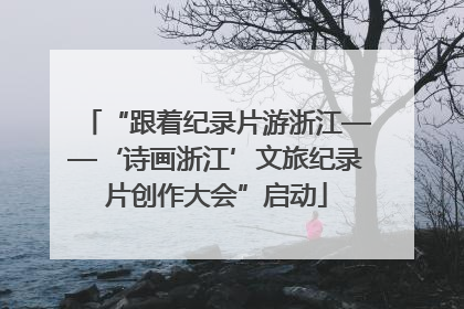 “跟着纪录片游浙江——‘诗画浙江’文旅纪录片创作大会”启动