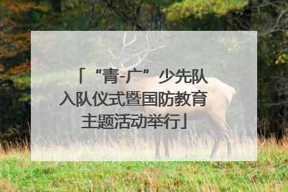 “青-广”少先队入队仪式暨国防教育主题活动举行