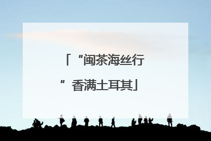 “闽茶海丝行”香满土耳其