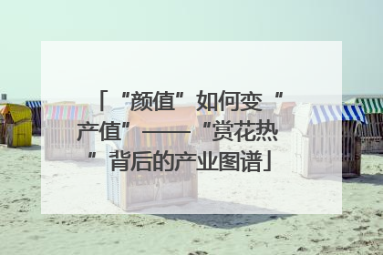 “颜值”如何变“产值”——“赏花热”背后的产业图谱