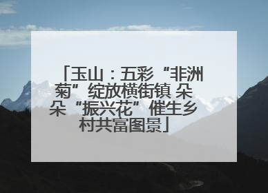 玉山：五彩“非洲菊”绽放横街镇 朵朵“振兴花”催生乡村共富图景