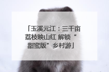 玉溪元江：三千亩荔枝映山红 解锁“甜蜜版”乡村游
