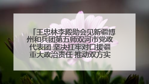 王忠林李殿勋会见新疆博州和兵团第五师双河市党政代表团 坚决扛牢对口援疆重大政治责任 推动双方实现优势互补务实合作